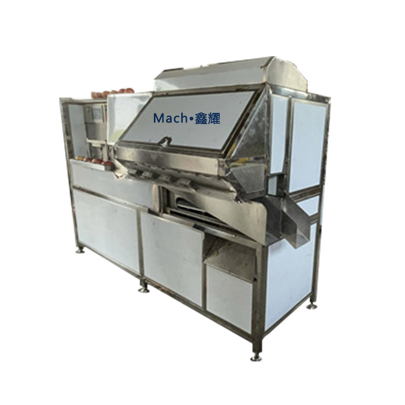 XP-3500蘋果香梨類削皮機(jī)