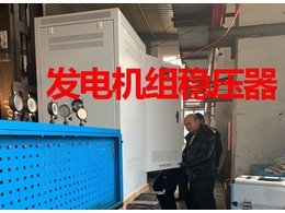 發(fā)電機(jī)組穩(wěn)壓器案例